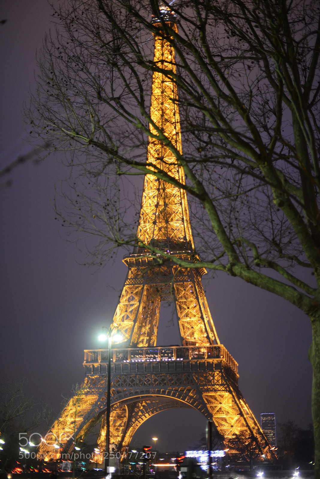 Nikon D600 sample photo. Paris night photography