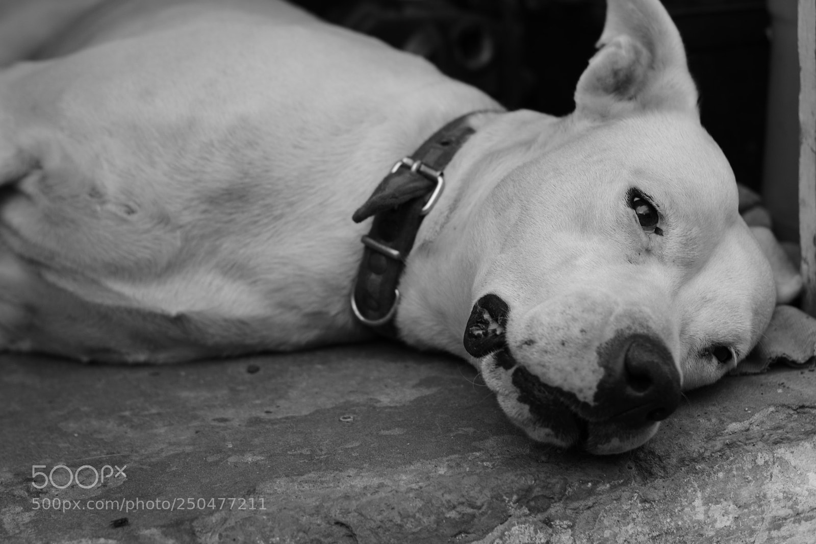 Nikon D5300 sample photo. Liam photography