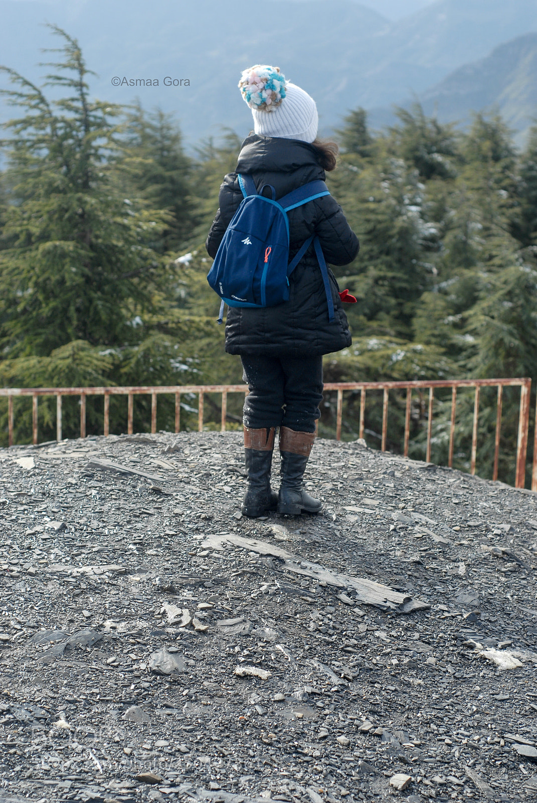 Nikon D200 sample photo. Looking at the mountain photography
