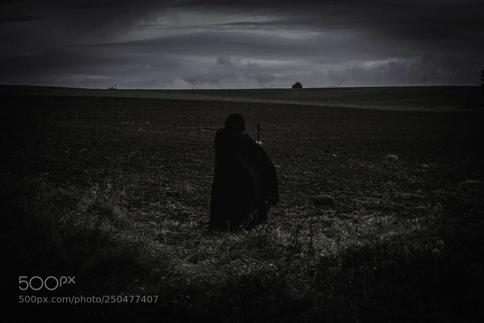 Nikon D600 sample photo. La mort en son photography