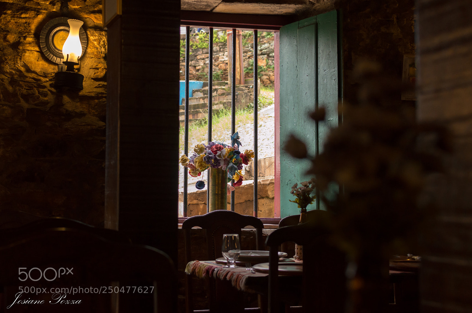 Nikon D3200 sample photo. Flowers in the window photography