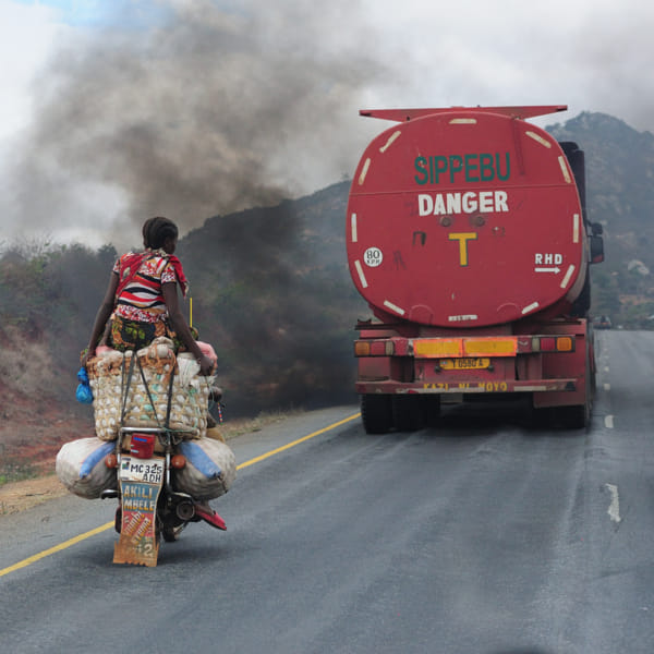 ニコン D90 /AF-S 55-200mm /18-55mm #C447 Nikon D90 + Nikon AF-S DX