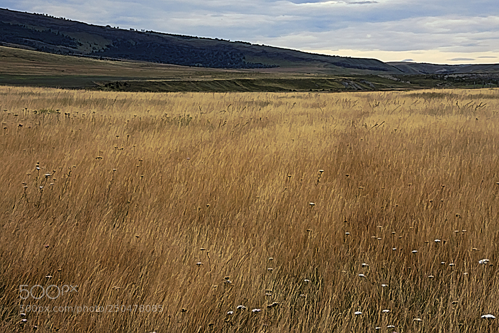Nikon D7200 sample photo. Patagonia prairie photography
