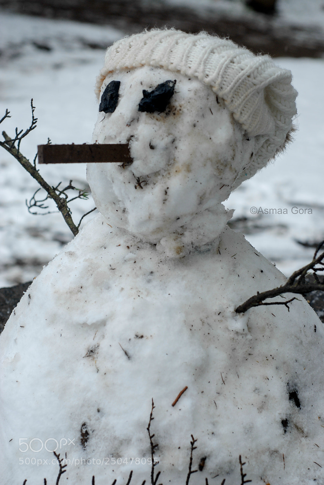 Nikon D200 sample photo. Snowman photography