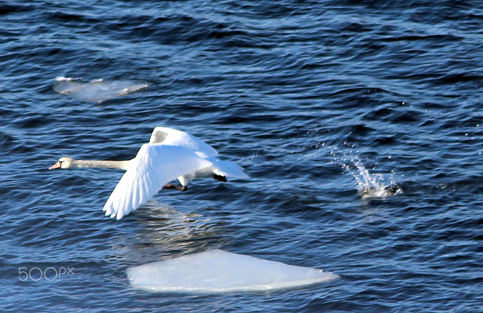 Canon EOS 700D (EOS Rebel T5i / EOS Kiss X7i) sample photo. Now it`s hurry to go before big ship. photography