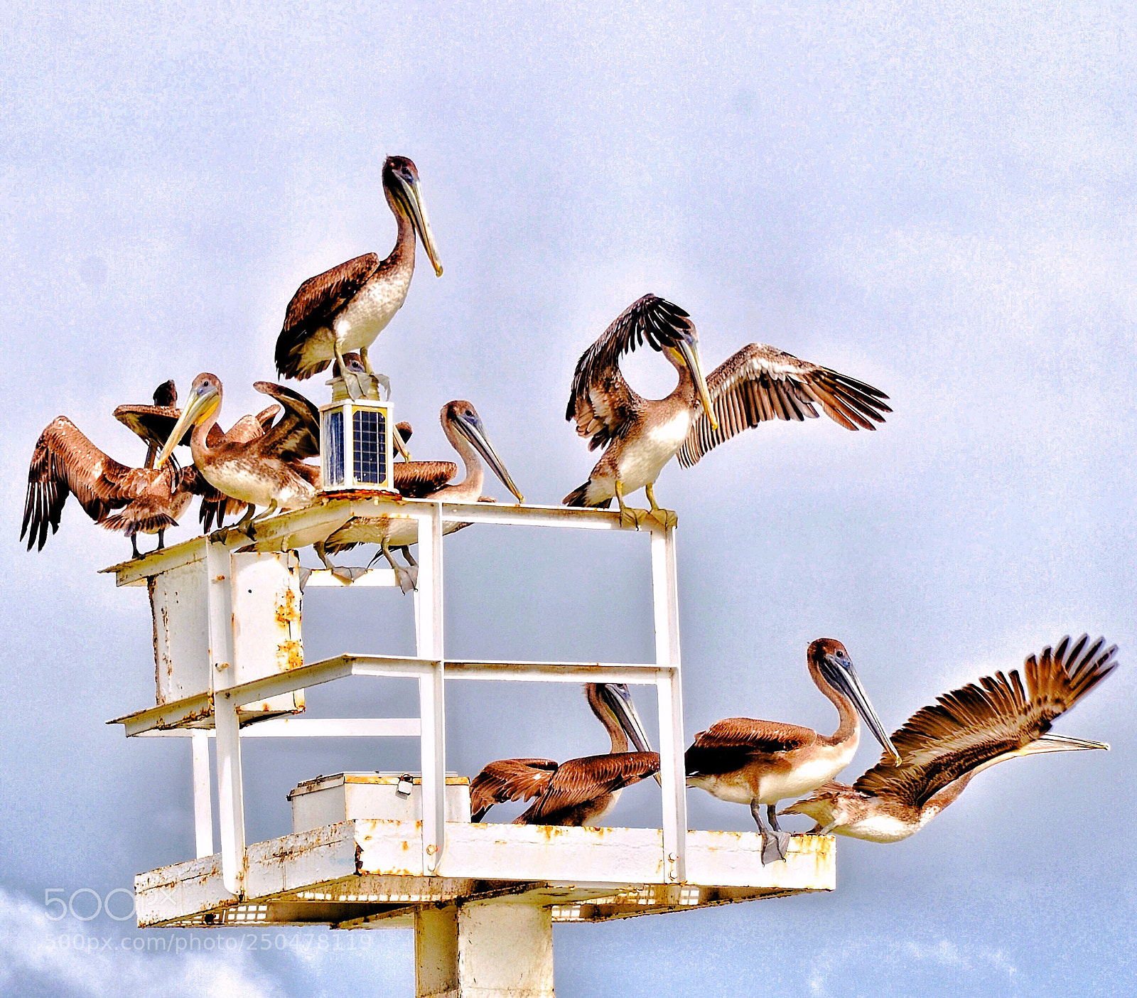 Nikon D7000 sample photo. Fun time! photography
