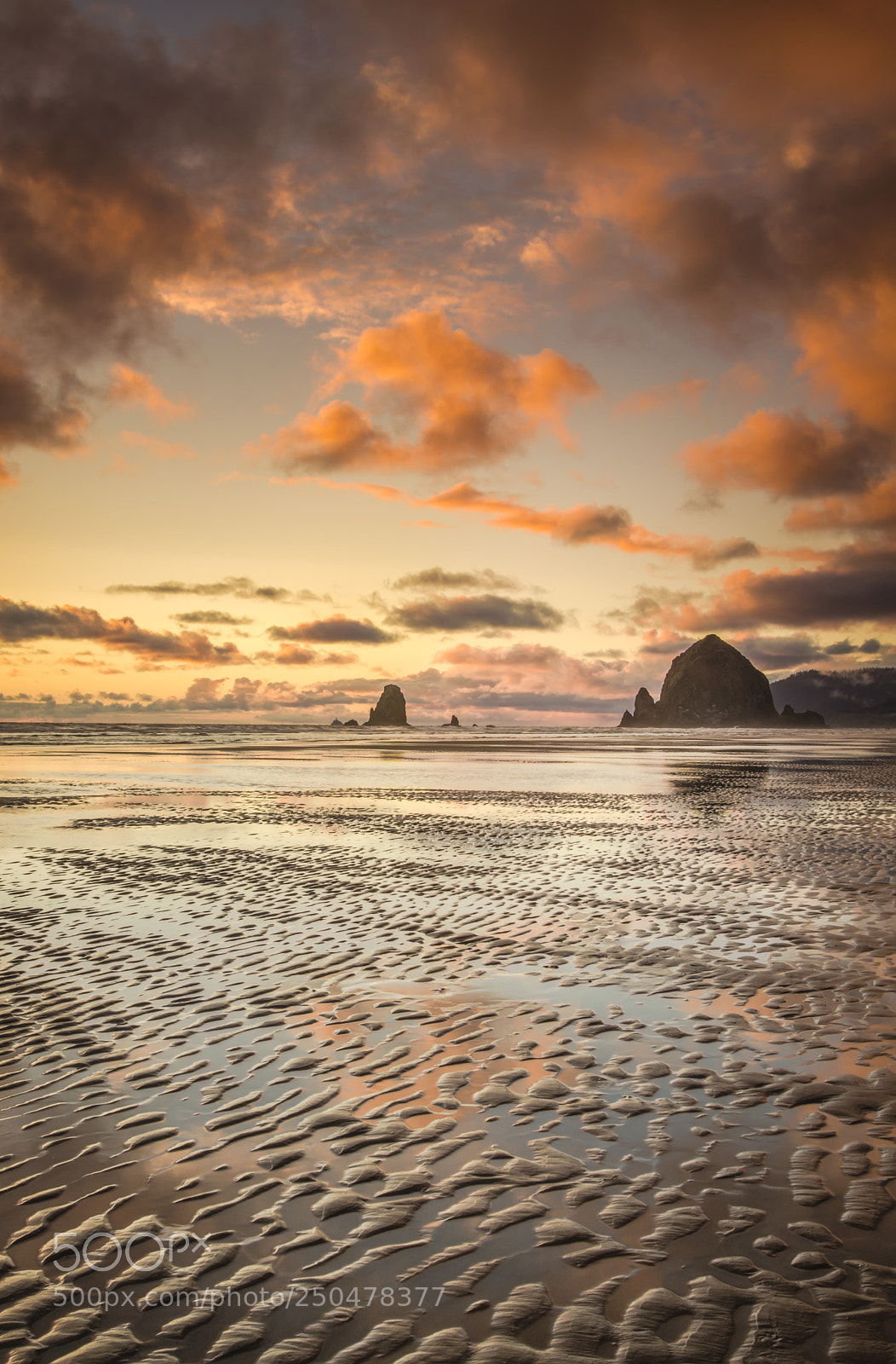 Nikon D7000 sample photo. Vibrant sands photography