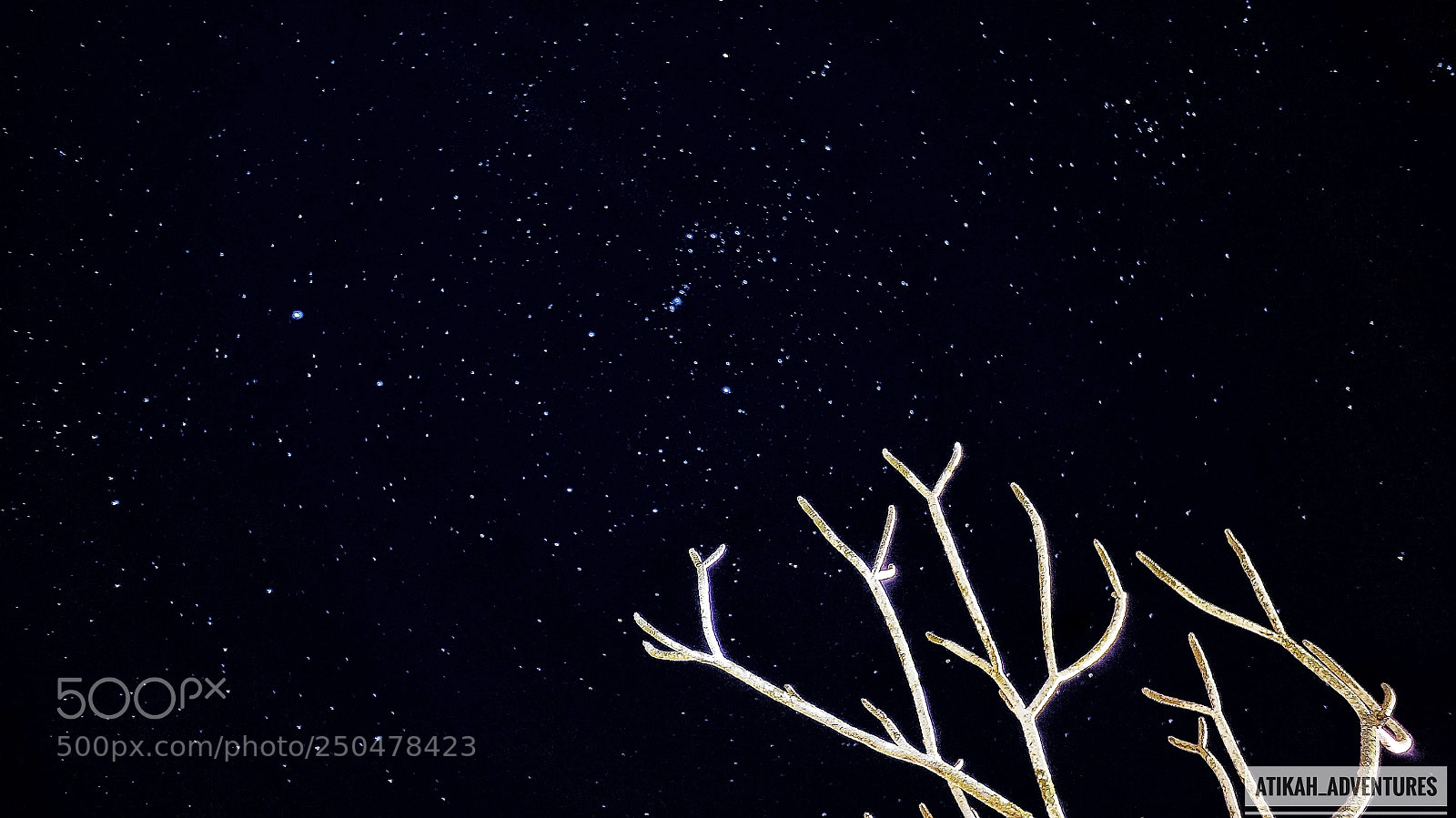Sony Alpha NEX-6 sample photo. Starry starry night photography
