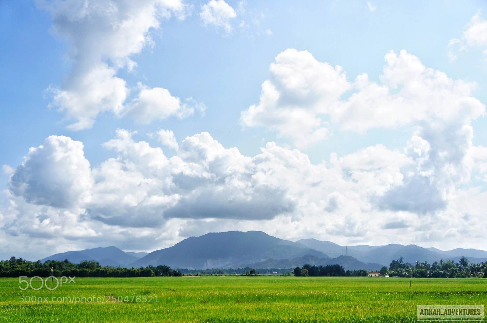 Sony Alpha NEX-6 sample photo. Lovely photography