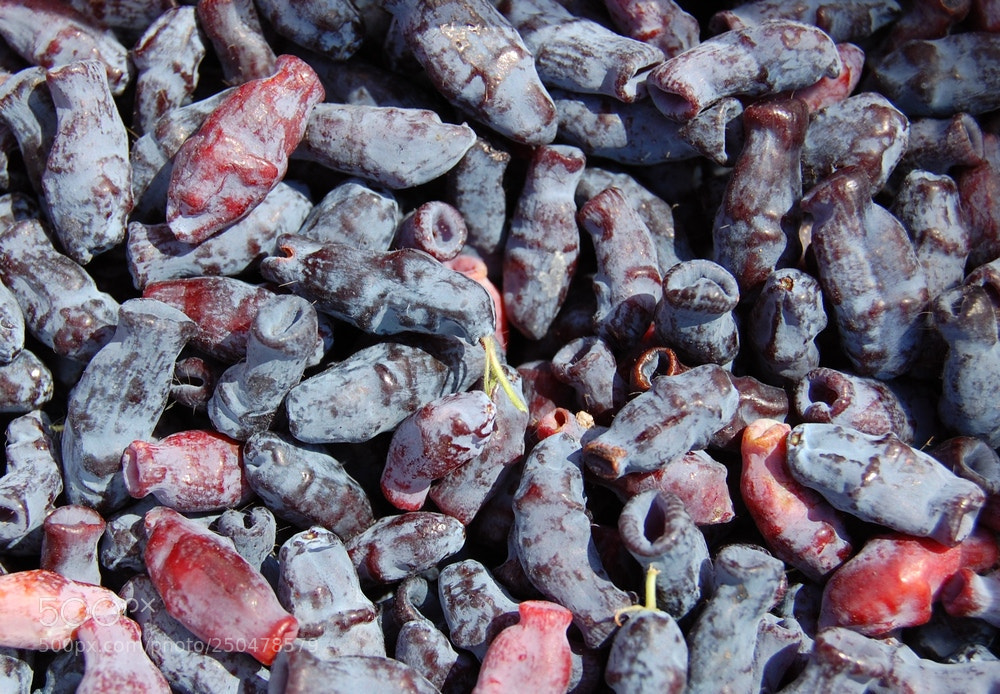 Nikon D40 sample photo. Summertime berries. photography