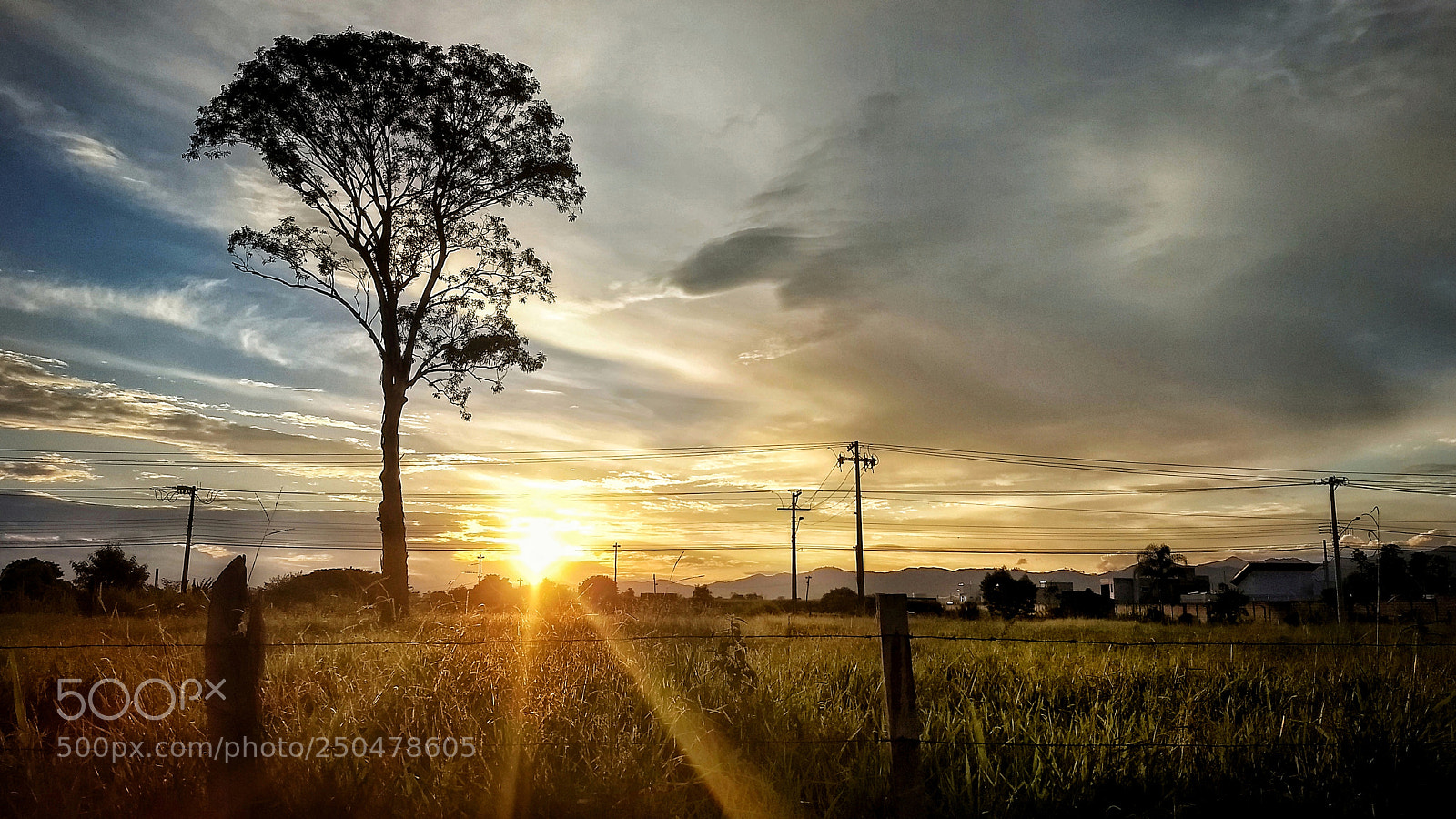 Motorola Moto G (5) Plus sample photo. Por do sol. photography