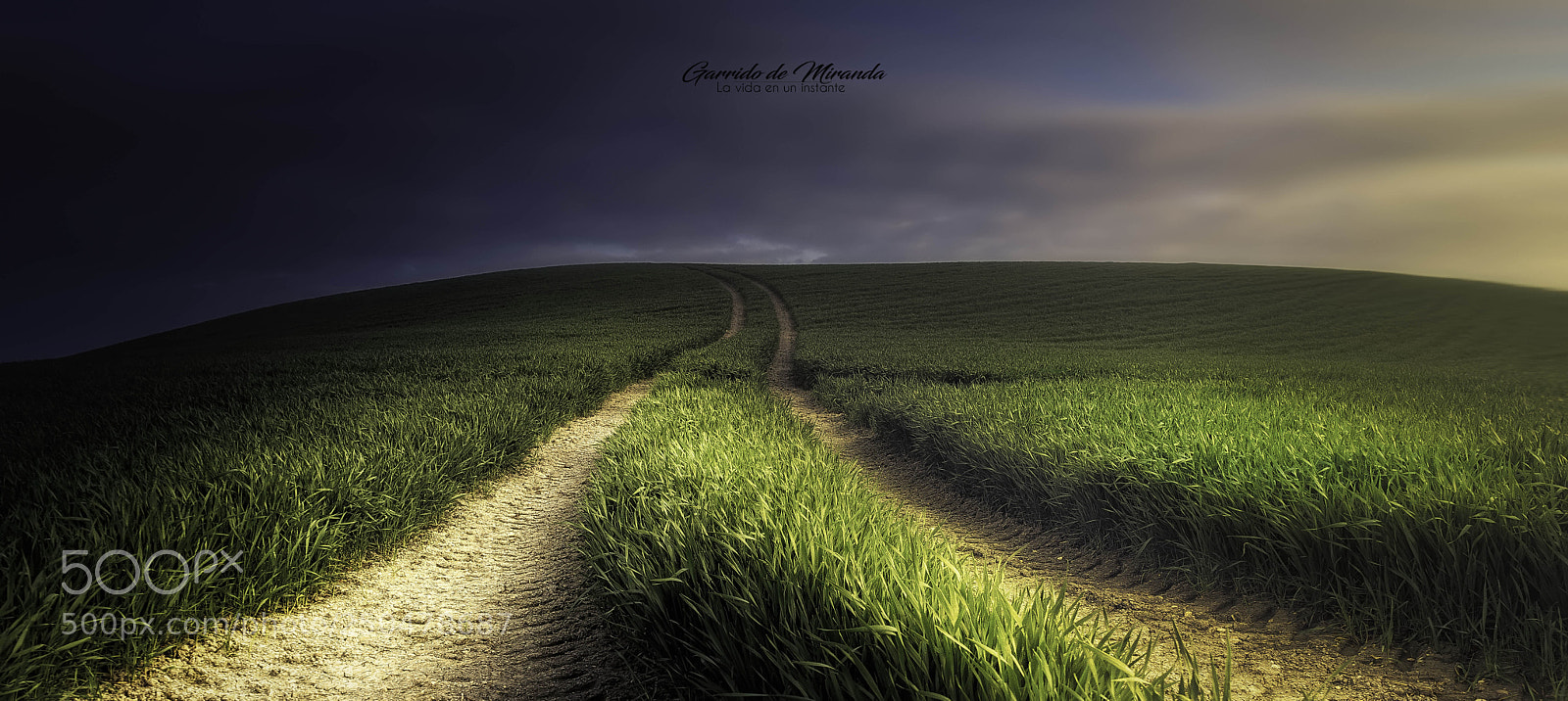 Sony a7 sample photo. Enjoy the silence photography
