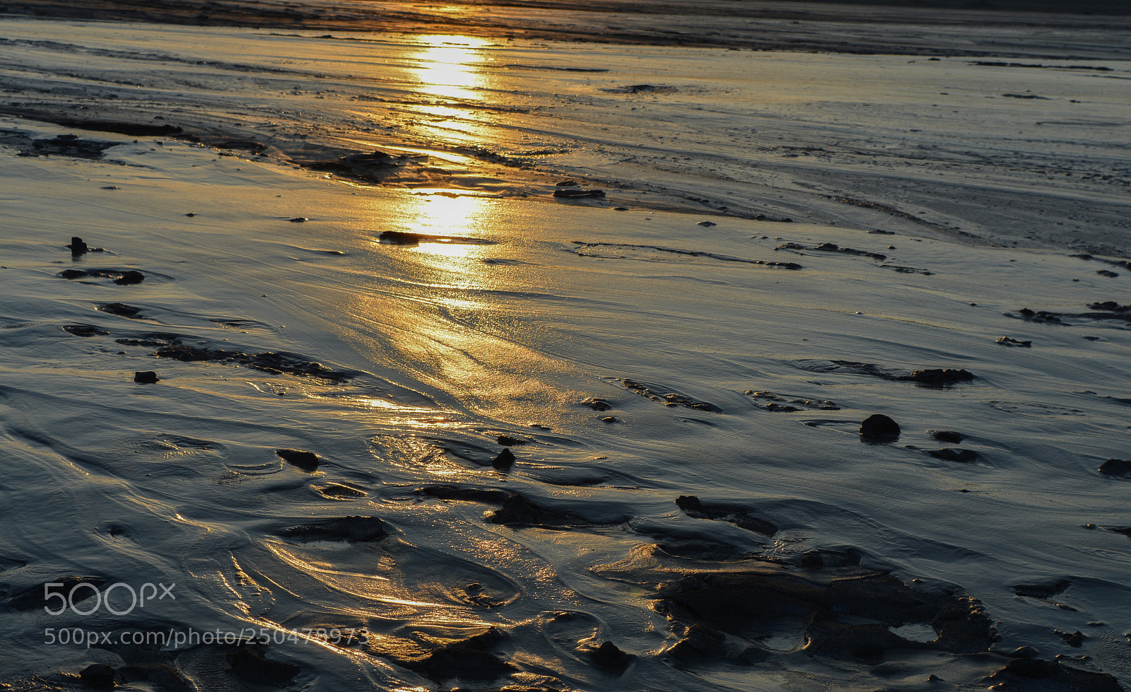Nikon D5200 sample photo. Alien sunset photography