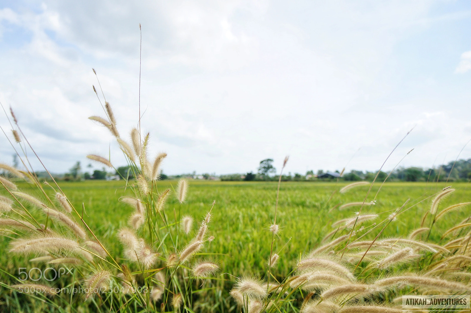 Sony Alpha NEX-6 sample photo. Untitled photography