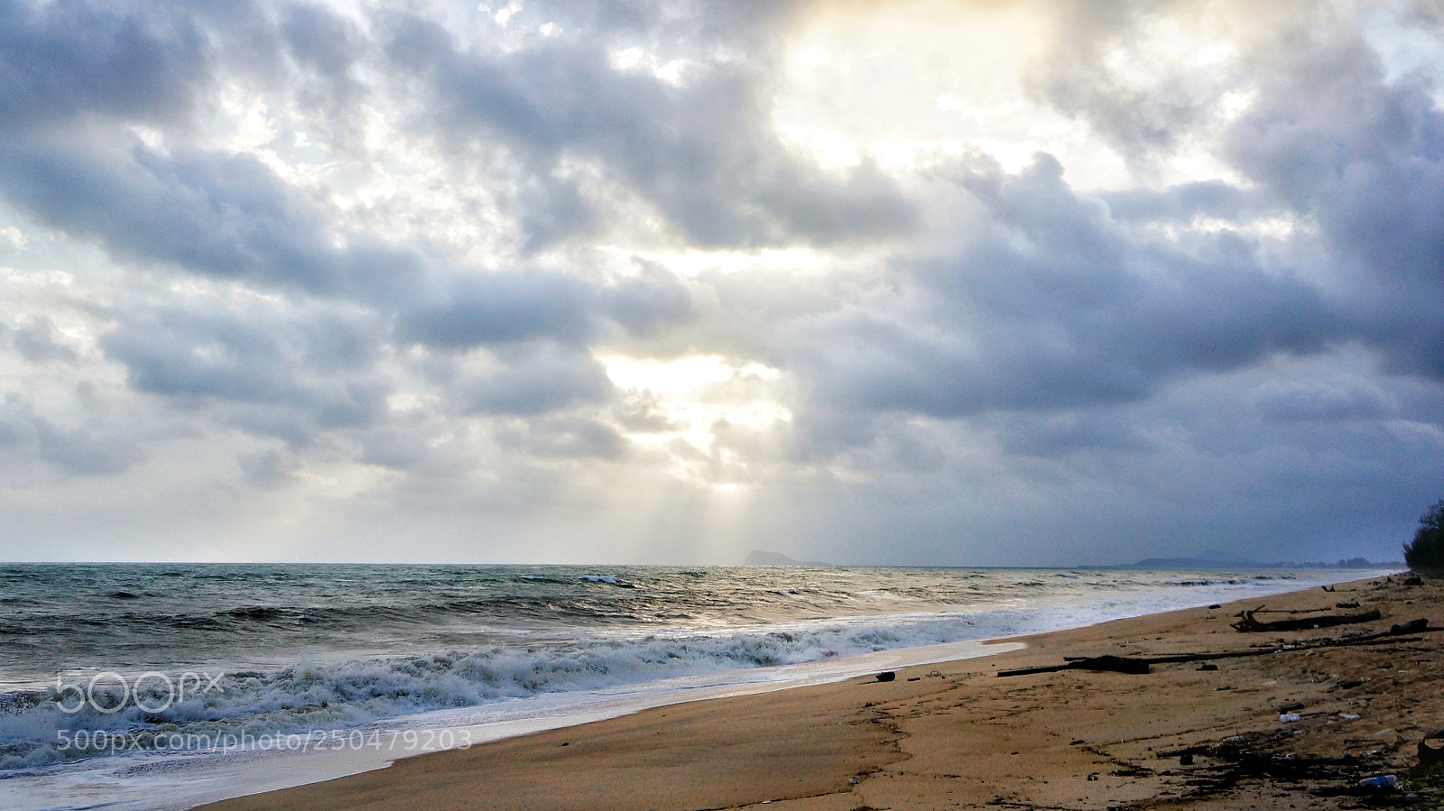 Sony Alpha NEX-6 sample photo. Grateful photography