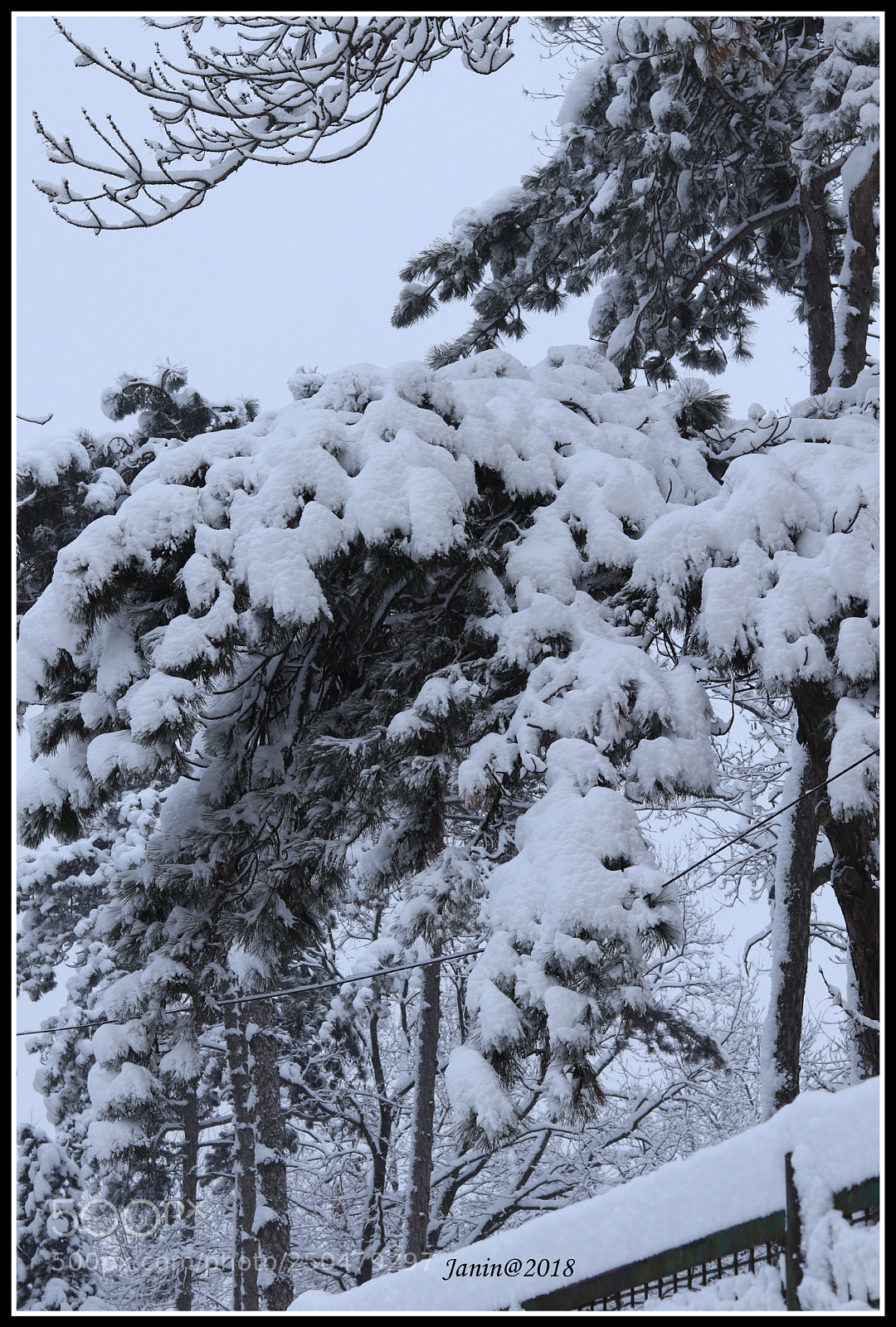 Canon EOS 77D (EOS 9000D / EOS 770D) sample photo. So many snow in photography