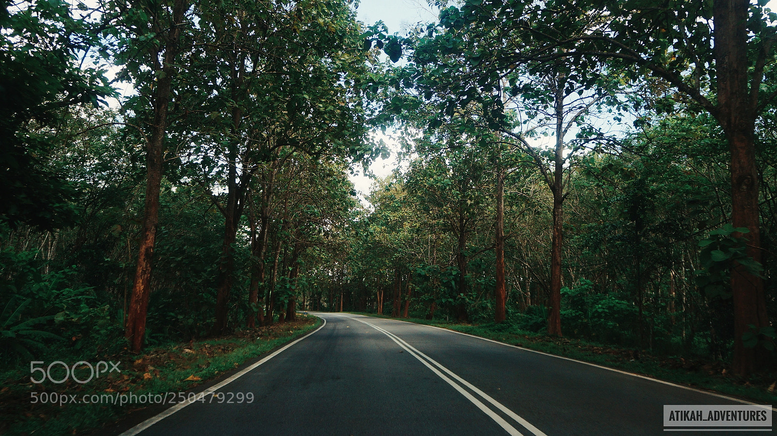Sony Alpha NEX-6 sample photo. Untitled photography