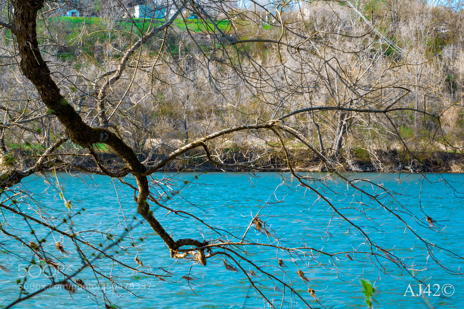 Nikon D3300 sample photo. Reach photography