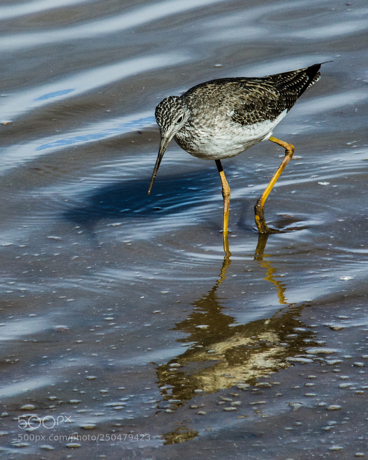Nikon D7000 sample photo. Muddy feet photography