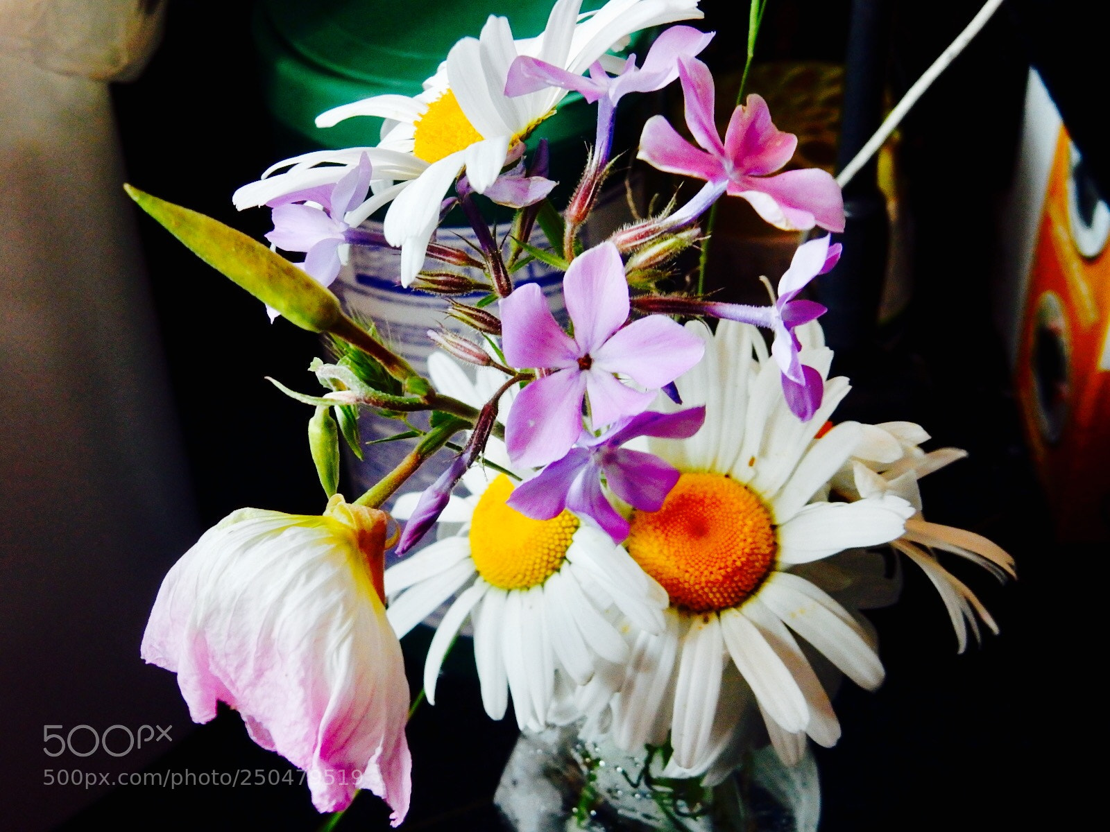 Nikon Coolpix S9900 sample photo. Untitled photography