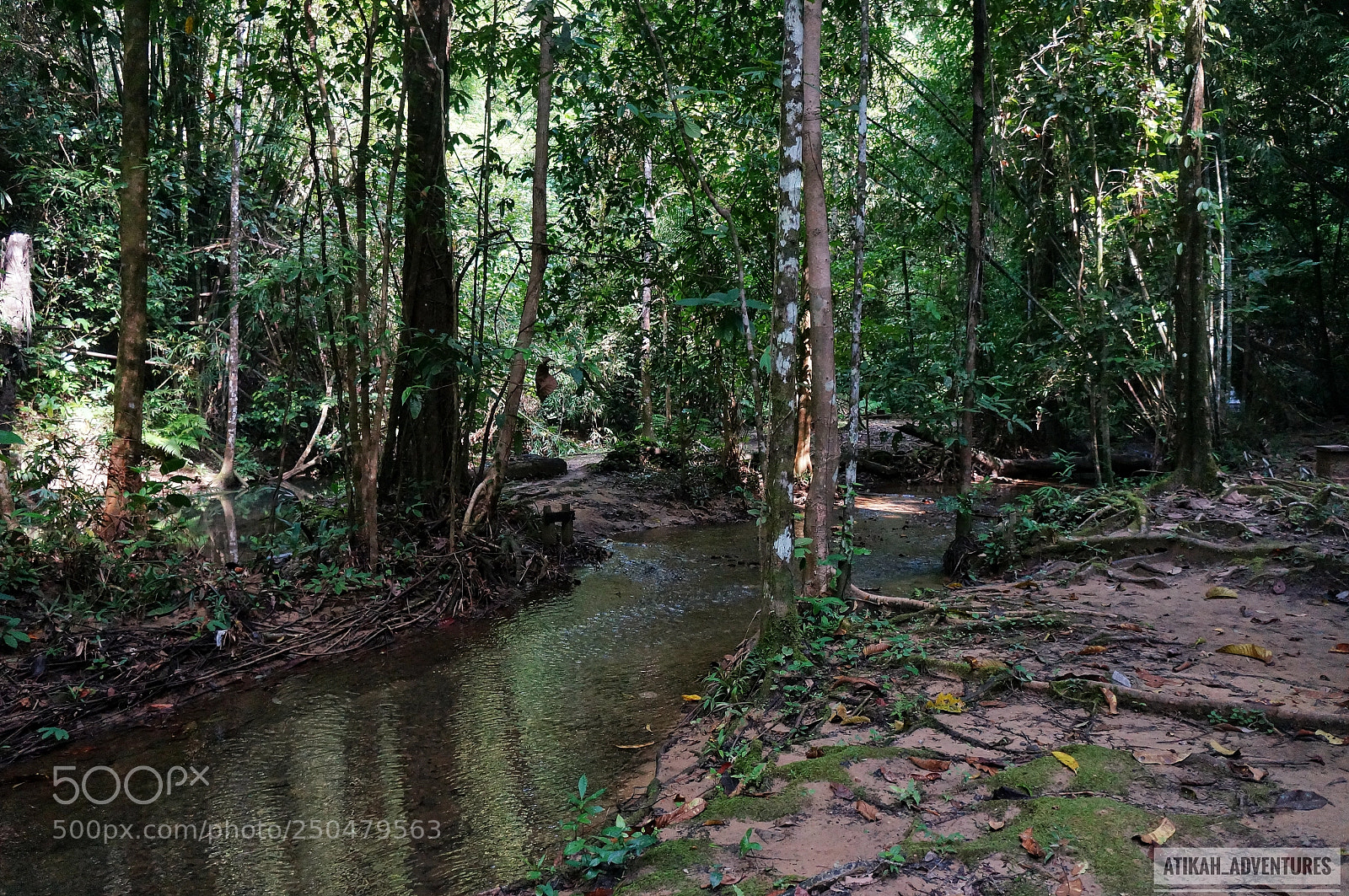 Sony Alpha NEX-6 sample photo. Into the unknown photography
