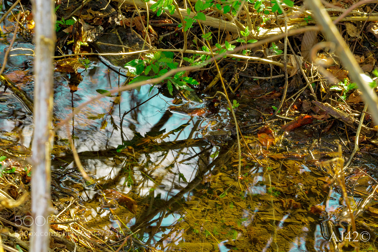 Nikon D3300 sample photo. Spring waters photography