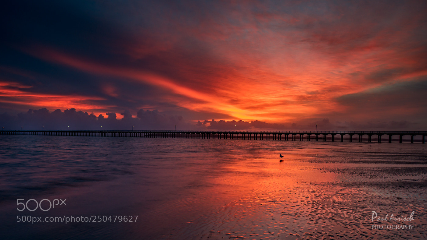 Nikon D500 sample photo. Urangan pier photography