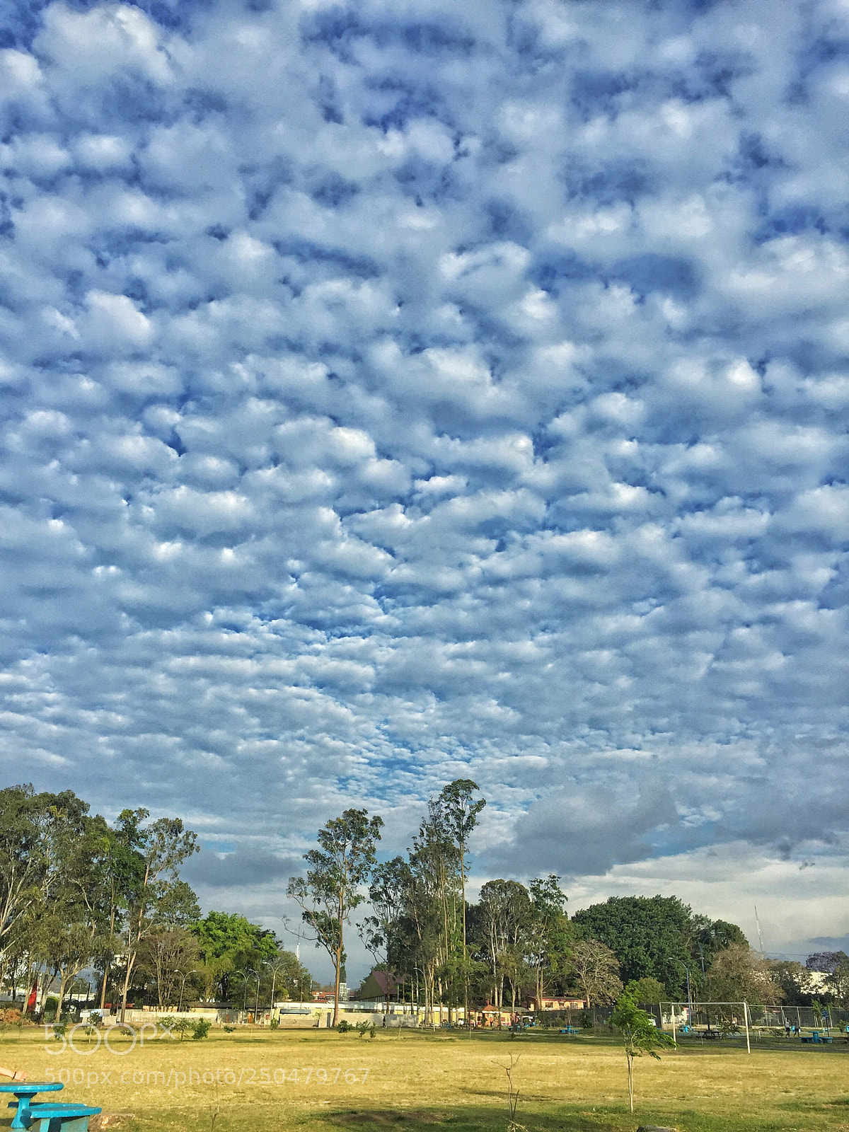 Apple iPhone 6 sample photo. Parque metropolitano de la photography