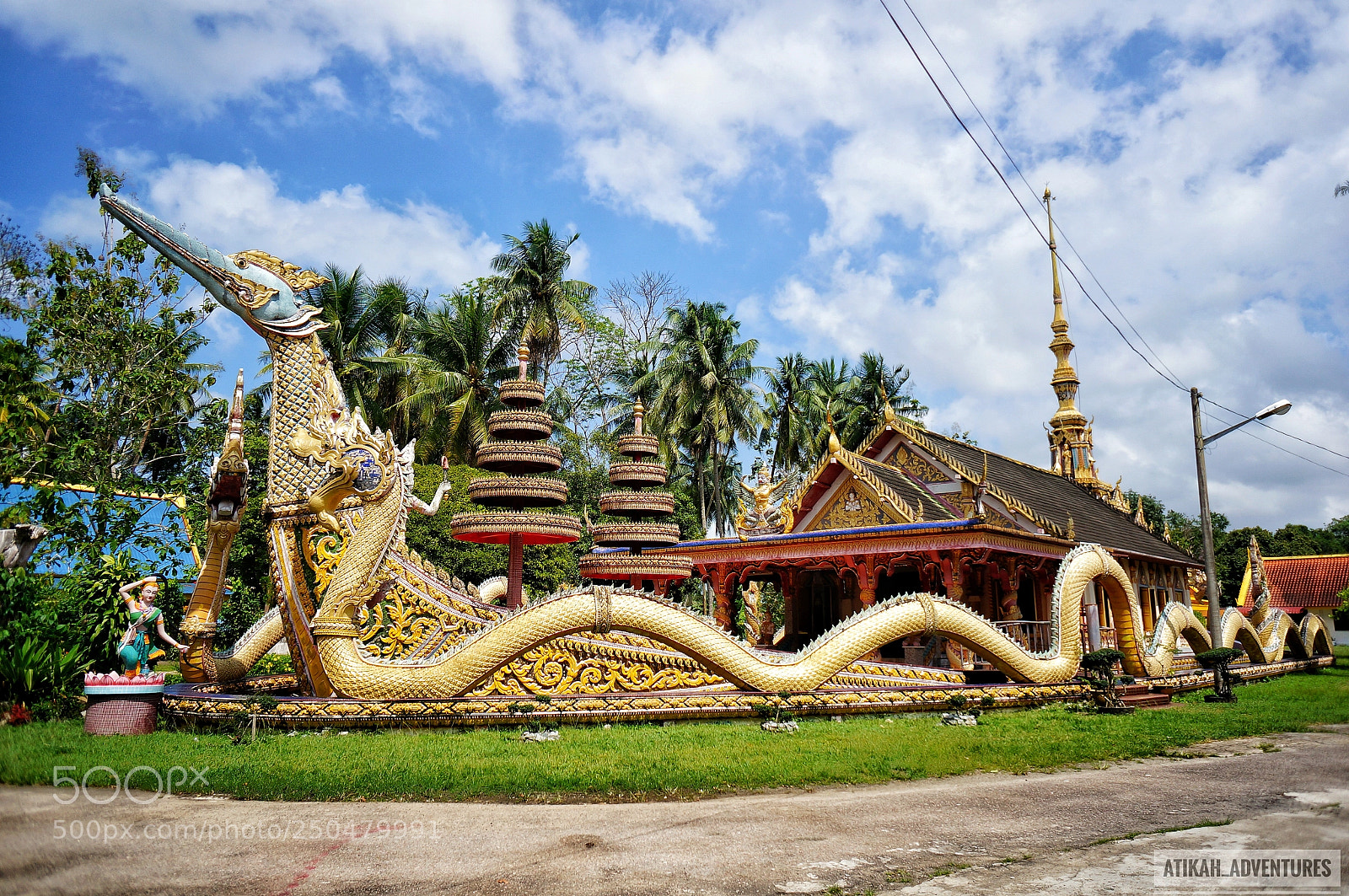 Sony Alpha NEX-6 sample photo. Dragon photography
