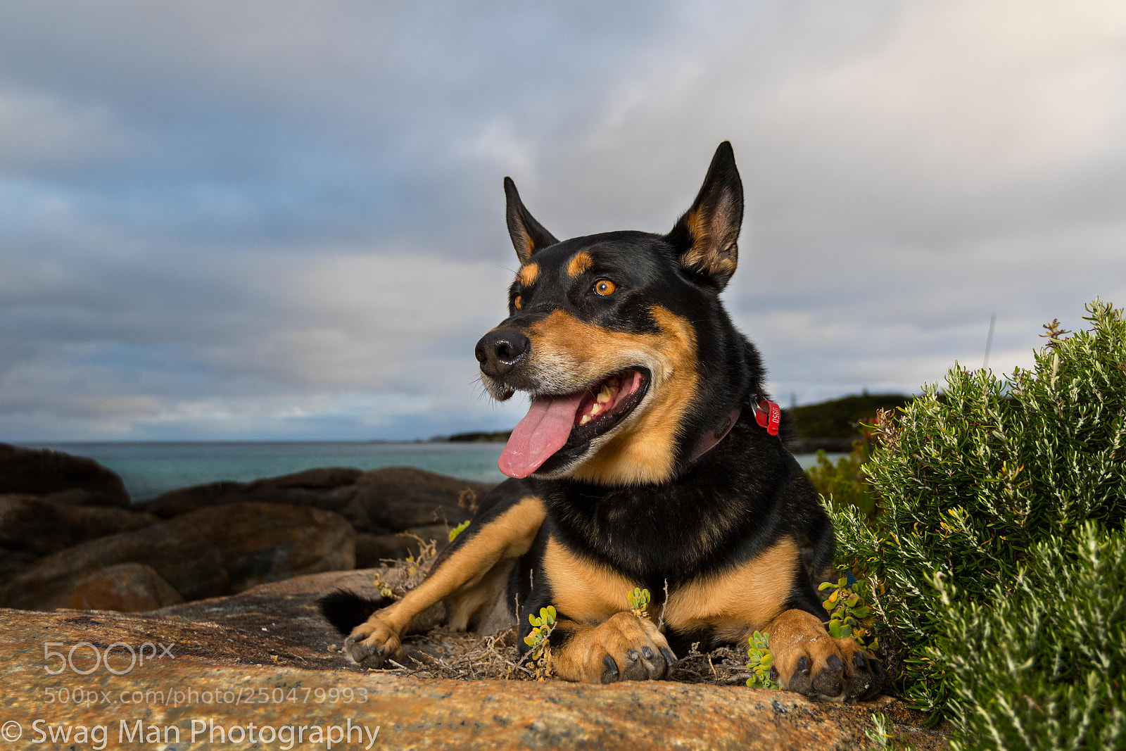Canon EOS 7D Mark II sample photo. Niko augusta photography