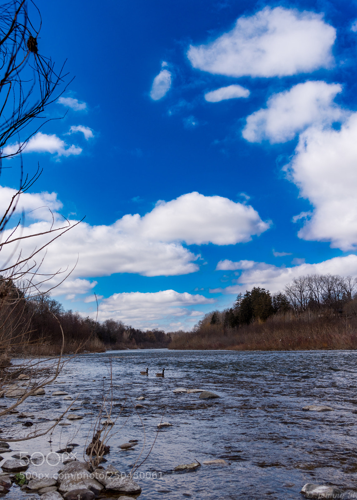 Nikon D810 sample photo. Thames river photography