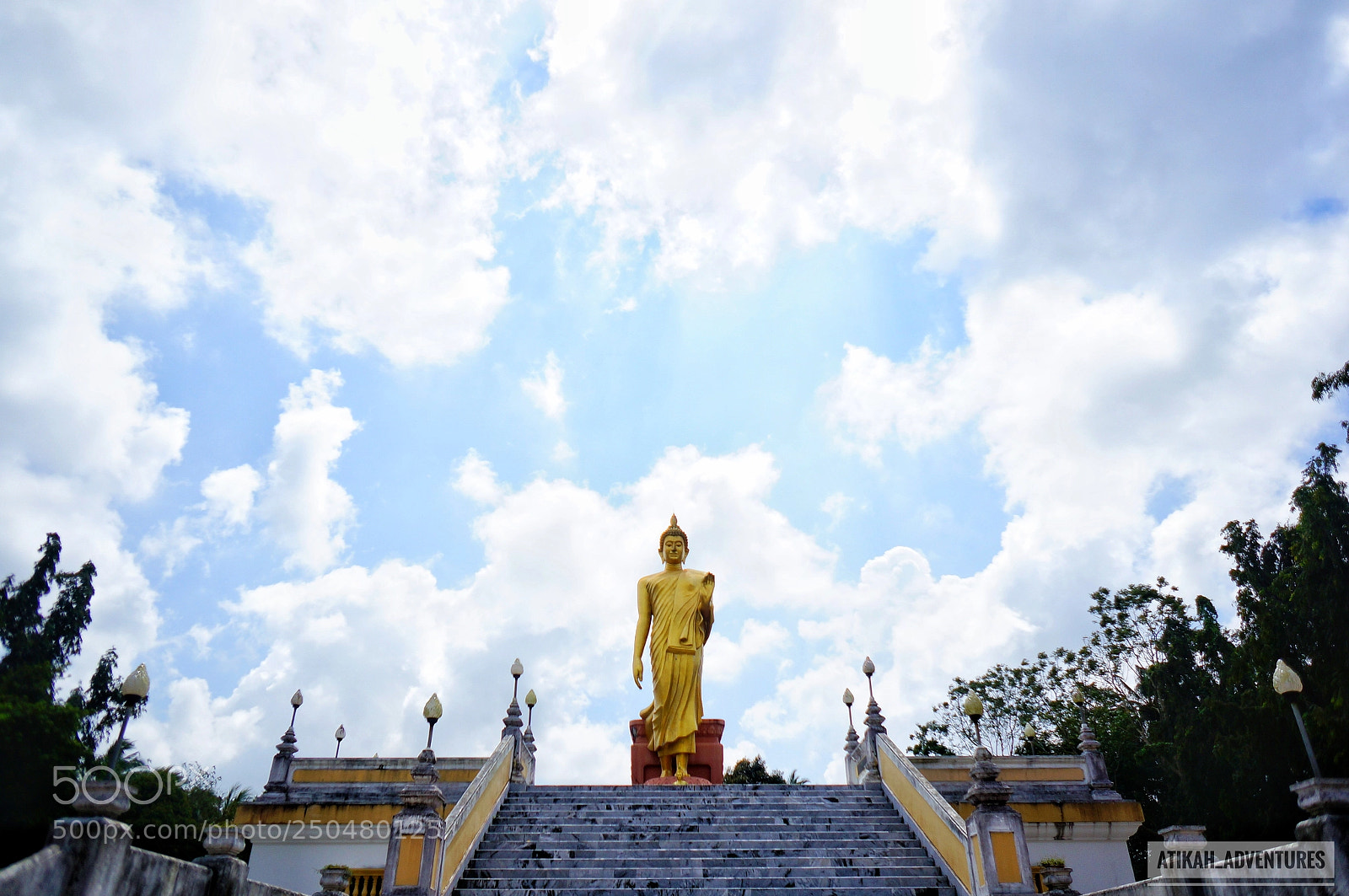 Sony Alpha NEX-6 sample photo. Untitled photography