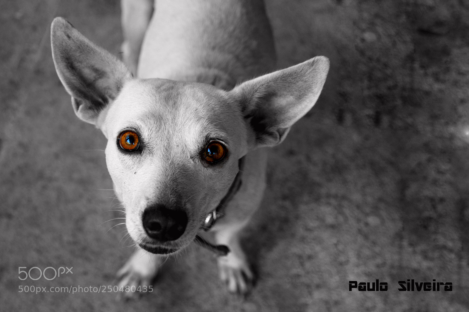Nikon D90 sample photo. Biaca photography