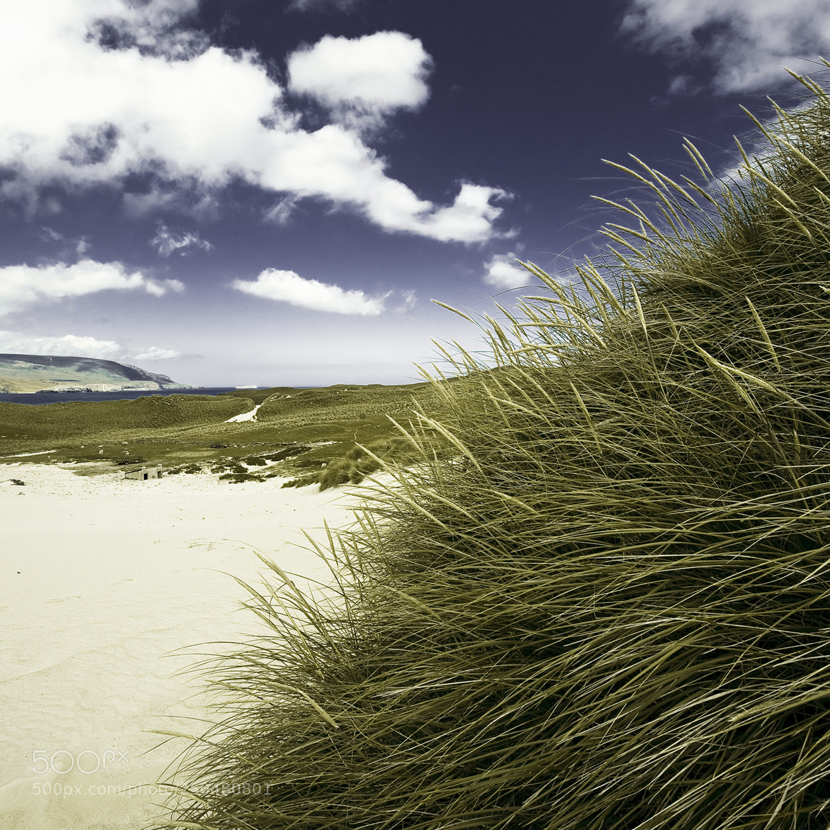 Canon EOS 5D sample photo. Scotland - unknown beach photography
