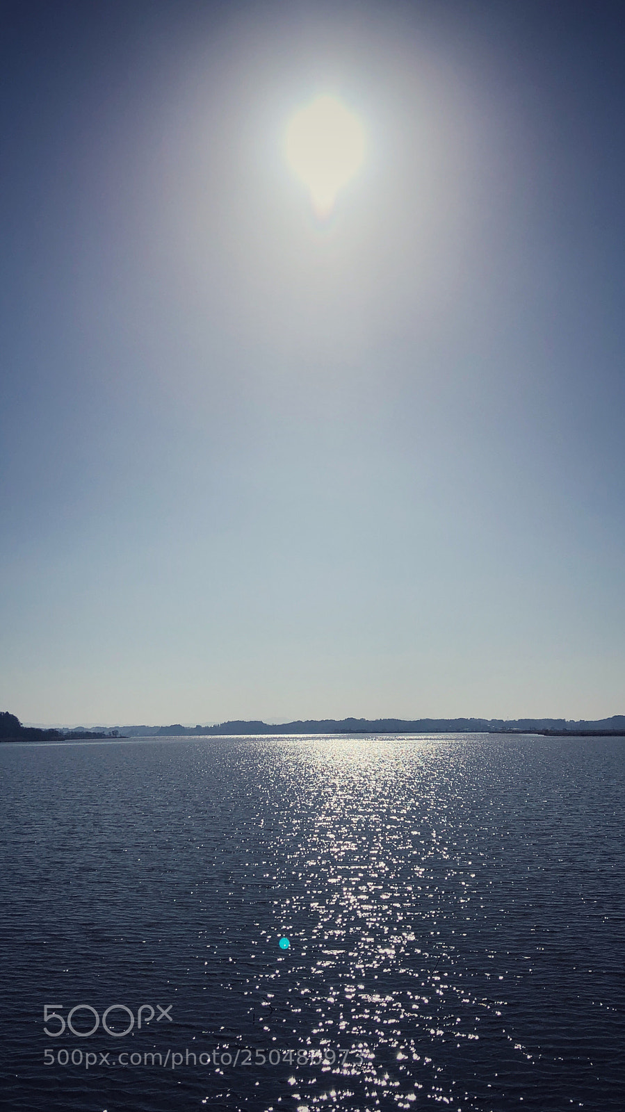 Apple iPhone X sample photo. Izunuma 伊豆沼物語0324 photography