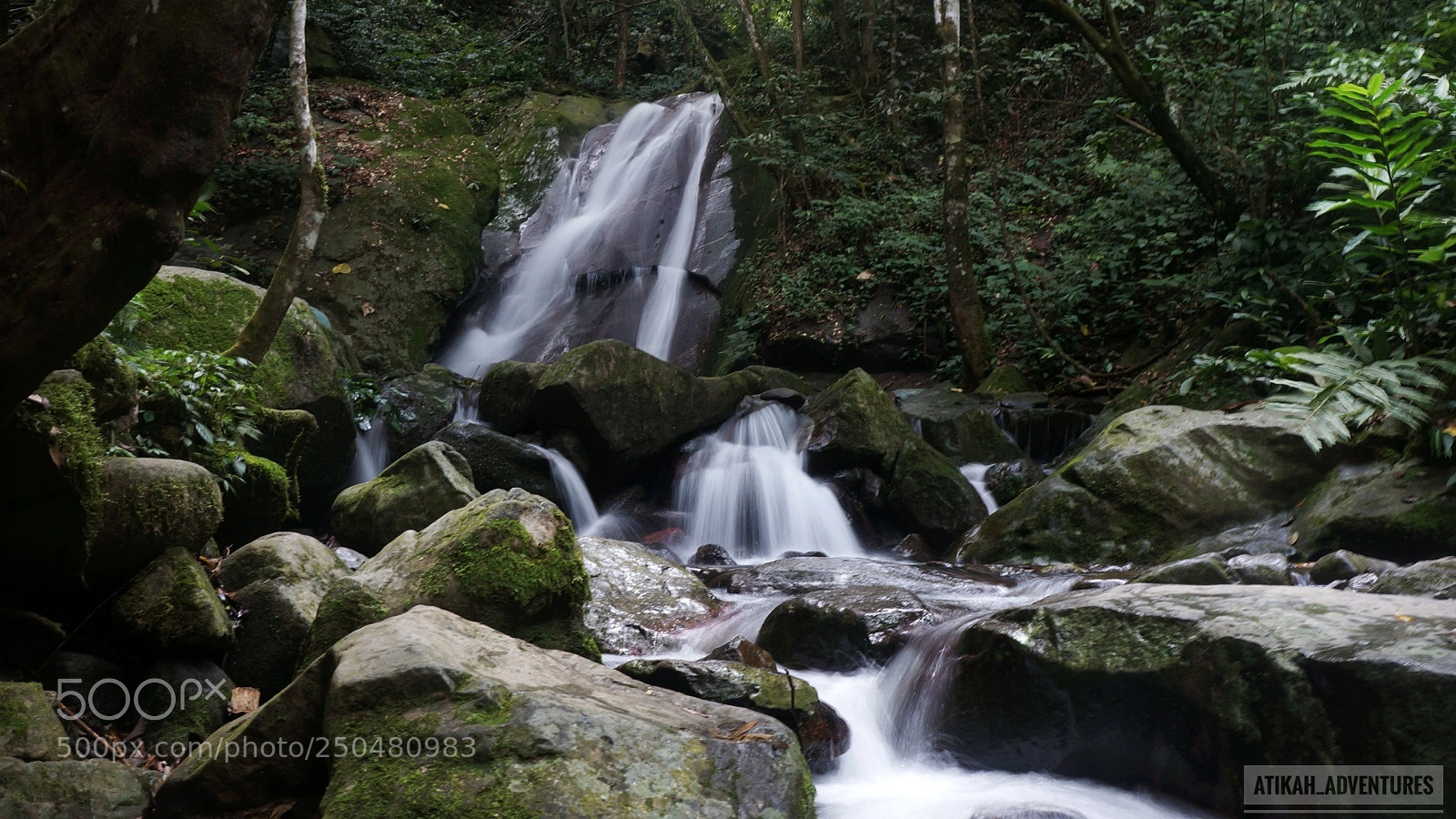 Sony Alpha NEX-6 sample photo. Untitled photography