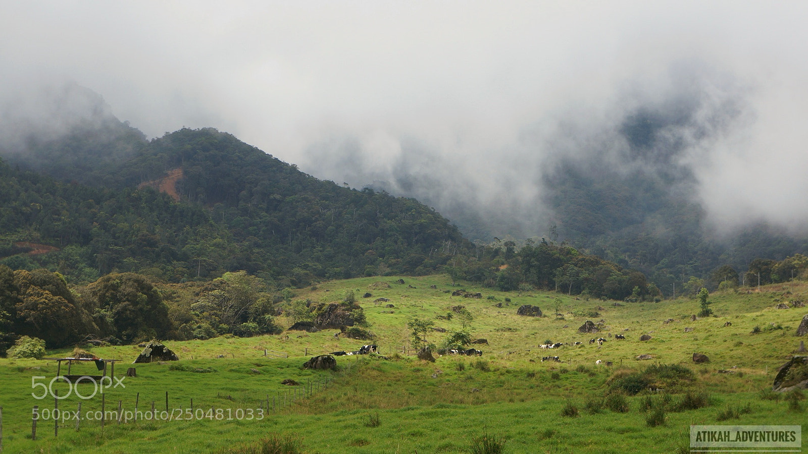 Sony Alpha NEX-6 sample photo. Untitled photography