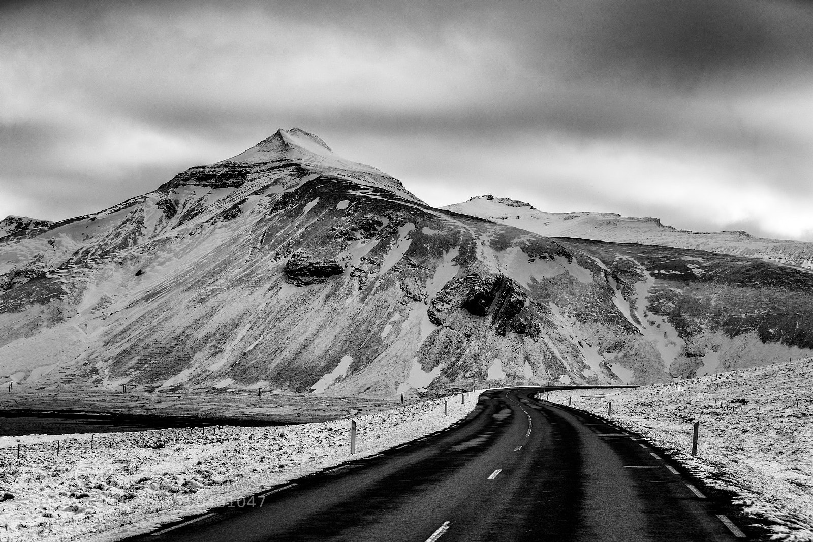 Canon EOS-1D X Mark II sample photo. The road home photography