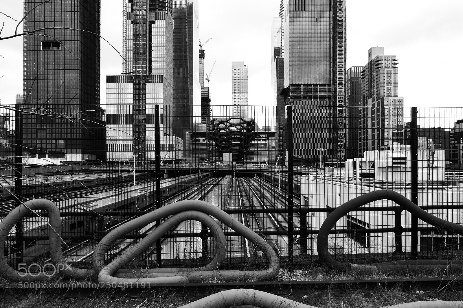 Leica D-Lux (Typ 109) sample photo. 2018. new york photography