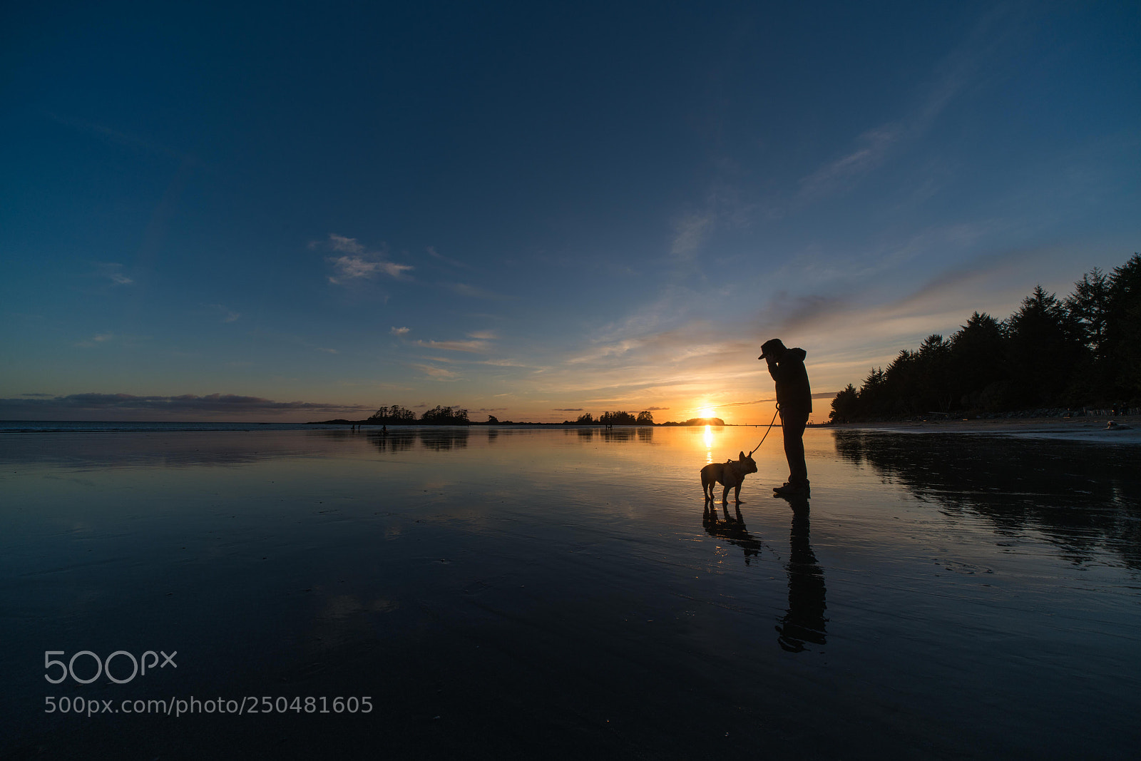 Sony a7R II sample photo. Tofino photography