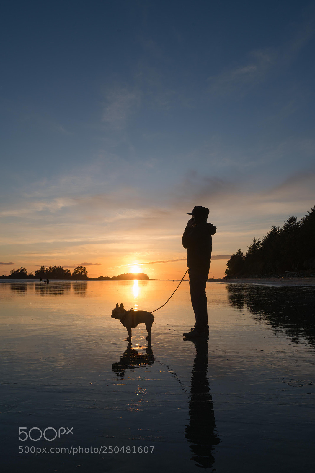 Sony a7R II sample photo. Tofino photography