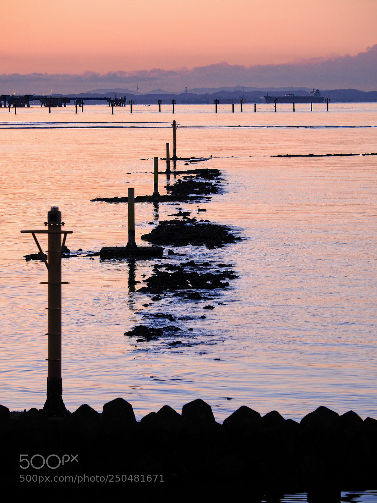 Olympus OM-D E-M10 II sample photo. Pile and low tide photography
