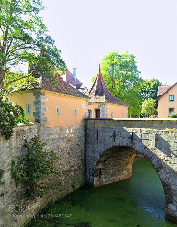 Samsung ES65, ES67 / VLUU ES65, ES67 /  SL50 sample photo. Moat at the roder photography