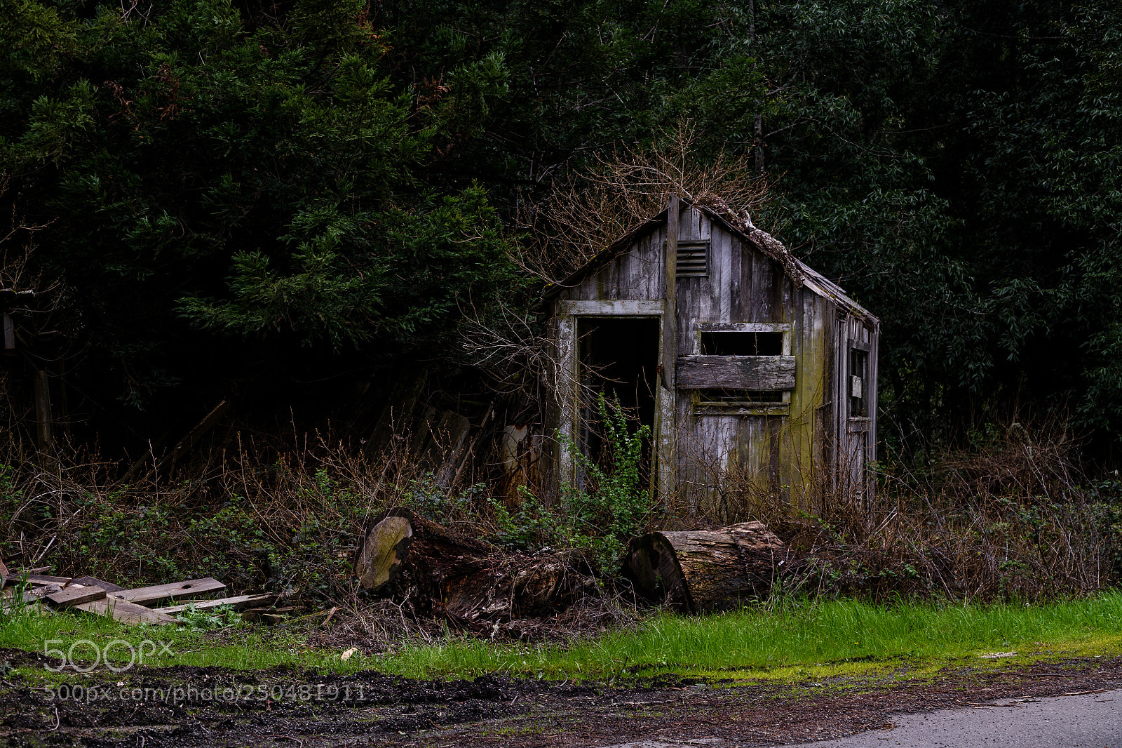 Nikon D850 sample photo. Old shack on back-road photography