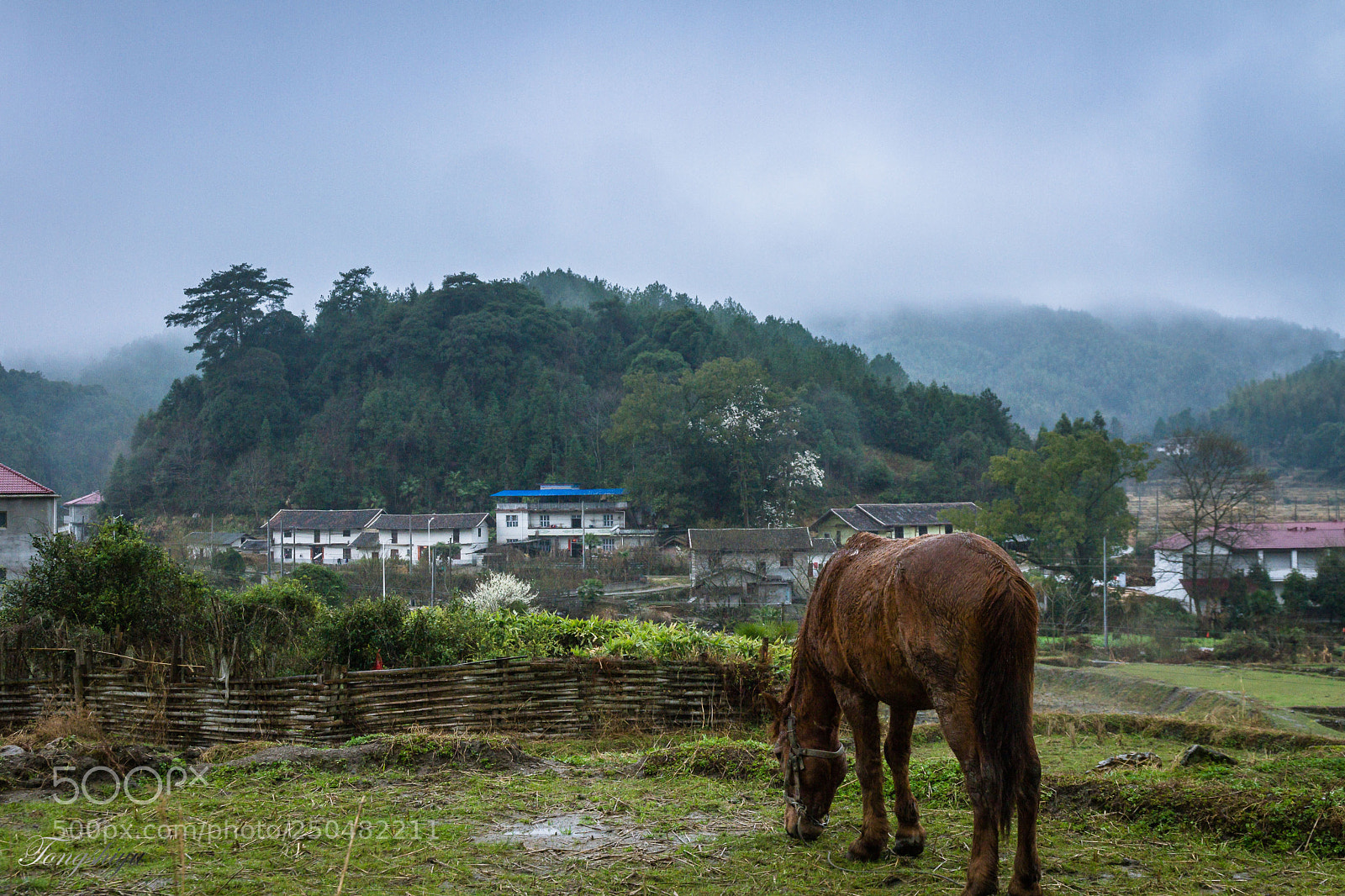 Canon EOS 7D sample photo. Jingan in jiangxi photography
