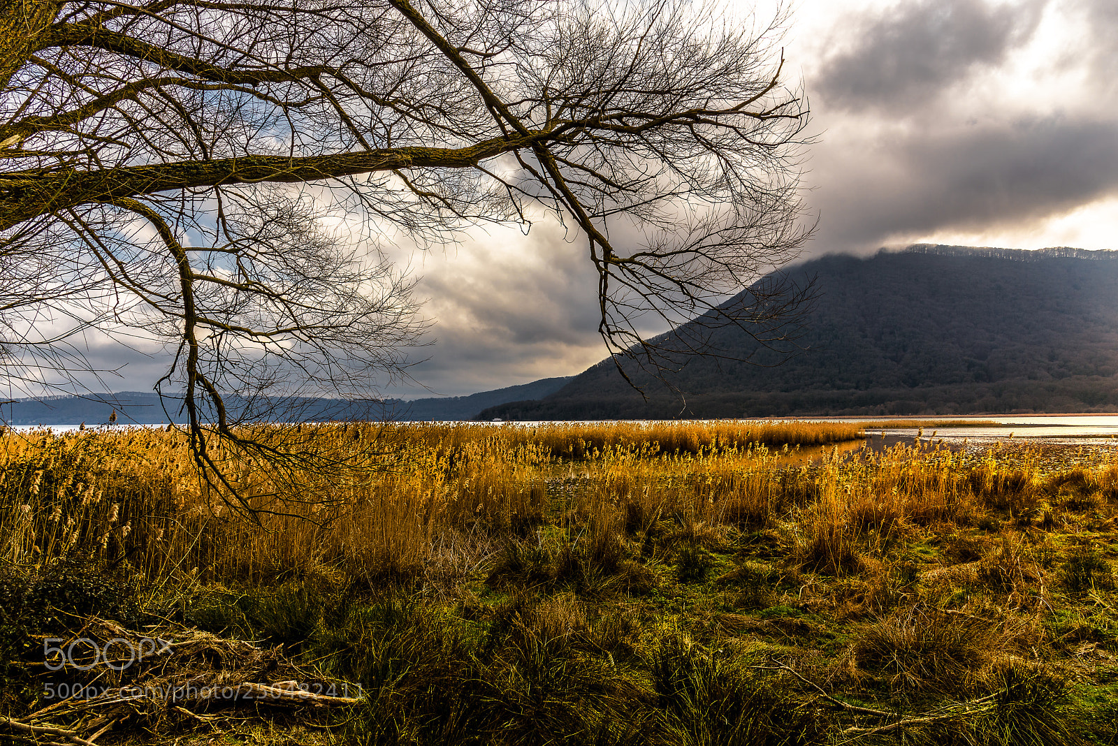 Nikon D810 sample photo. Photographic hunting in the photography