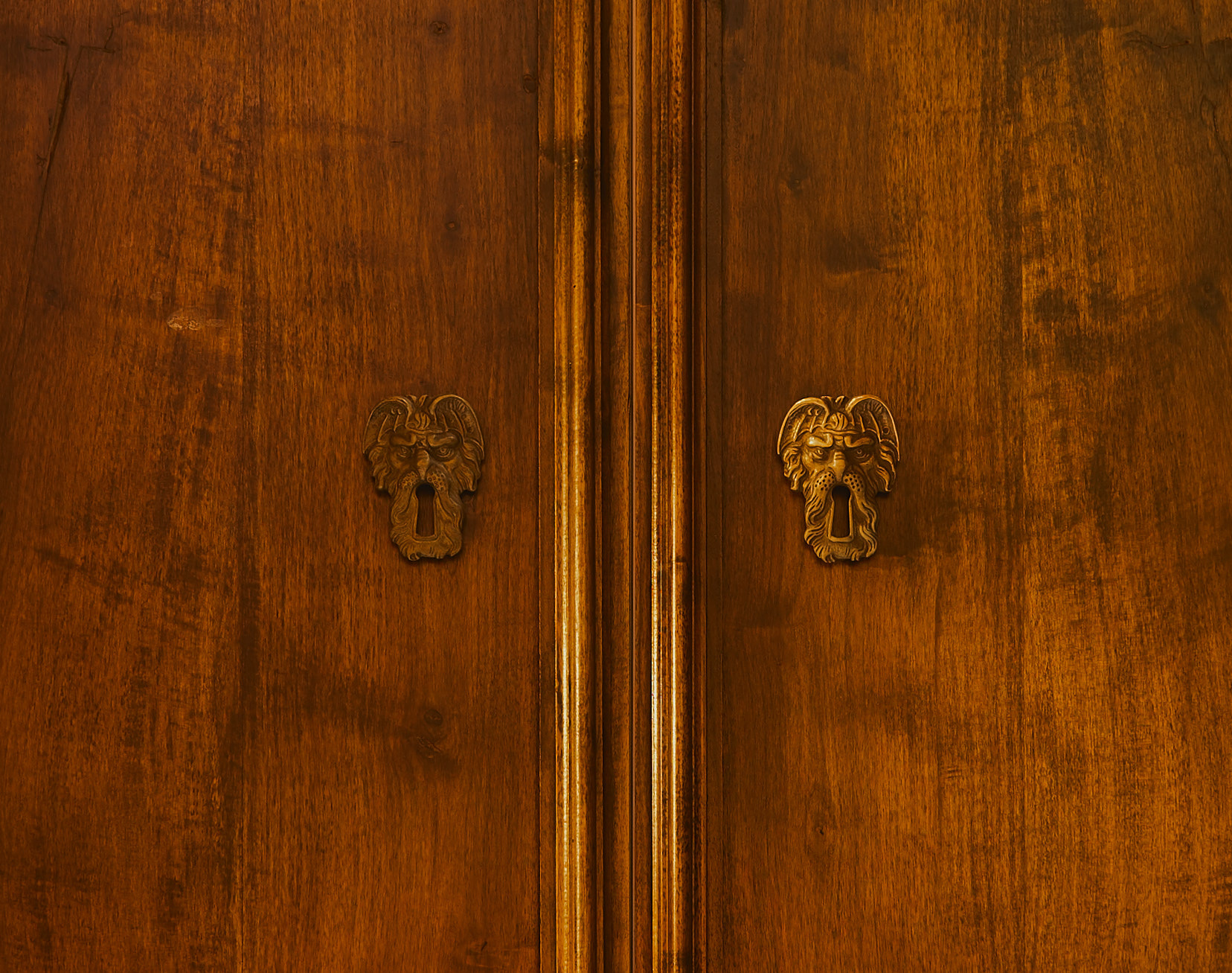 Phase One IQ250 sample photo. Wooden door in bologna photography
