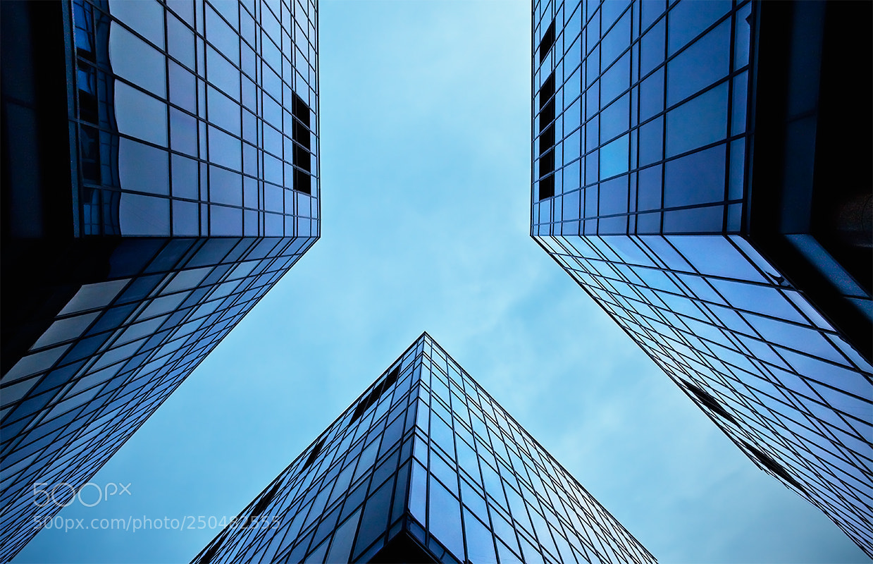 Canon EOS 5D Mark II sample photo. Blue photography
