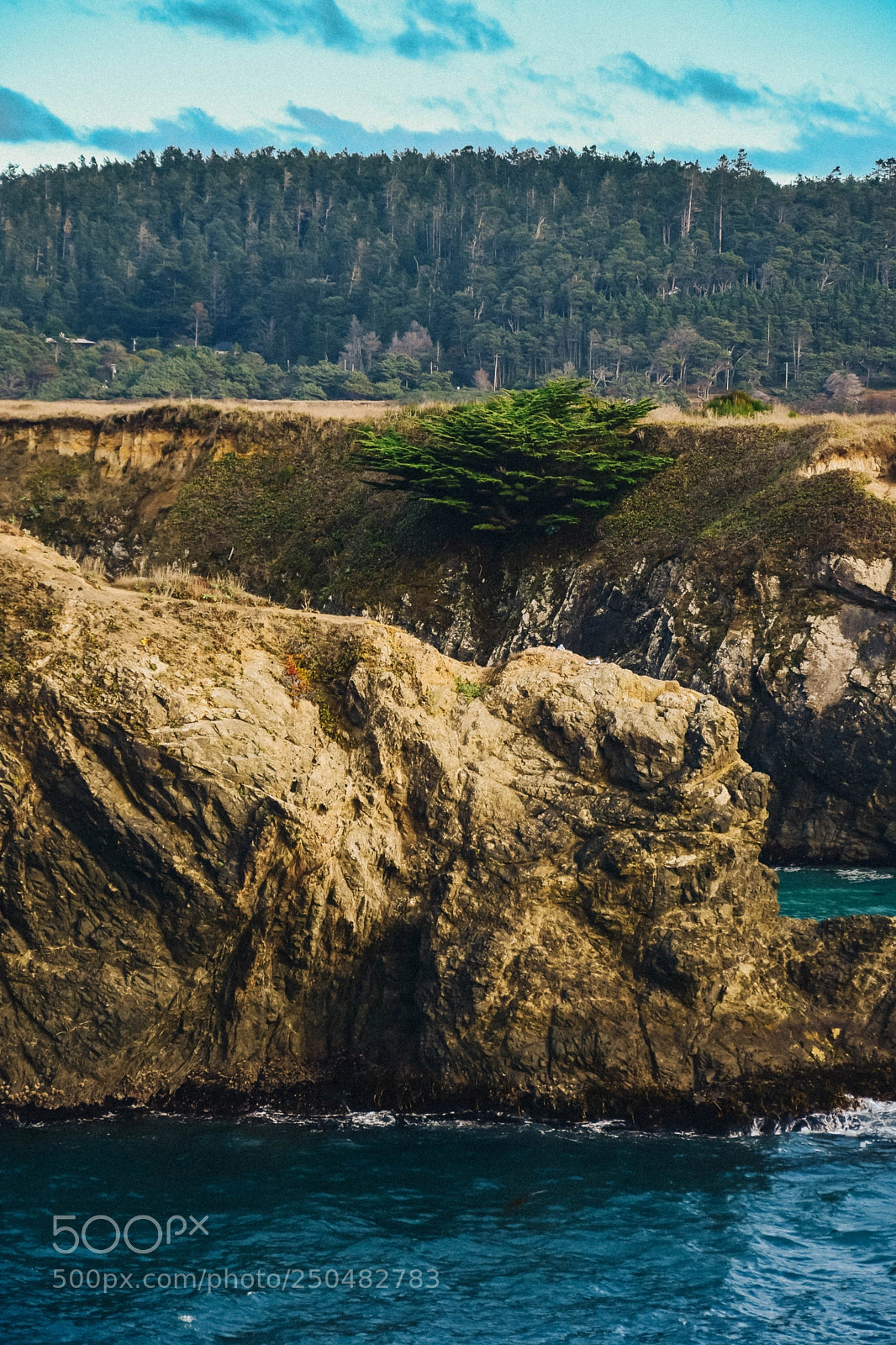 Nikon D7200 sample photo. California,us. photography