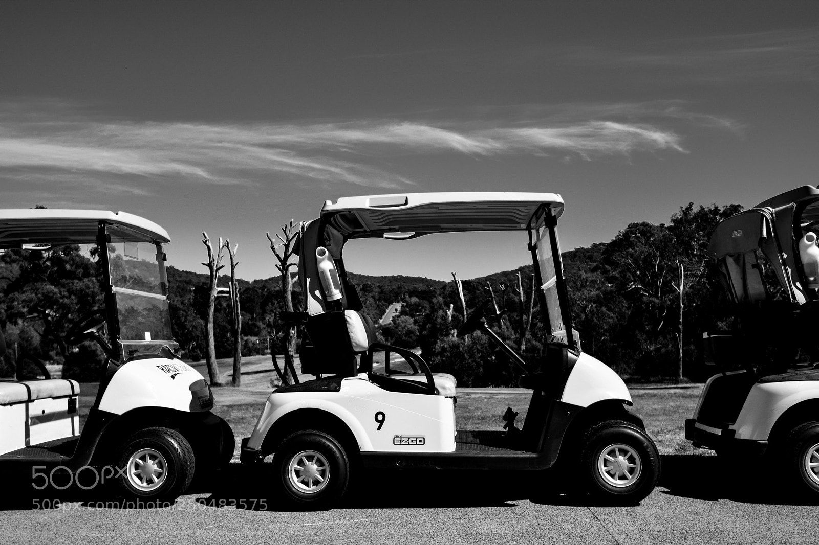 Nikon D3300 sample photo. Golf carts photography